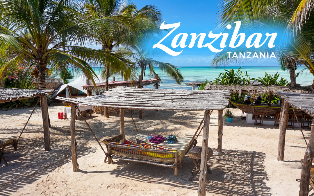 Image result for Exotic Zanzibar