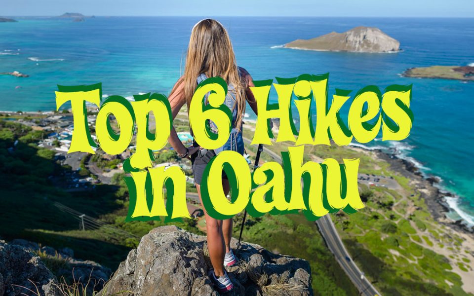 6 Best Hikes And Hiking Trails On Oahu Hawaii Just Globetrotting