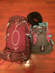 Emily's two bags