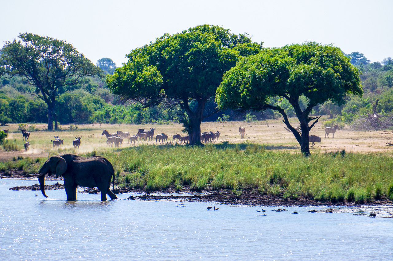 Национальный парк в африке