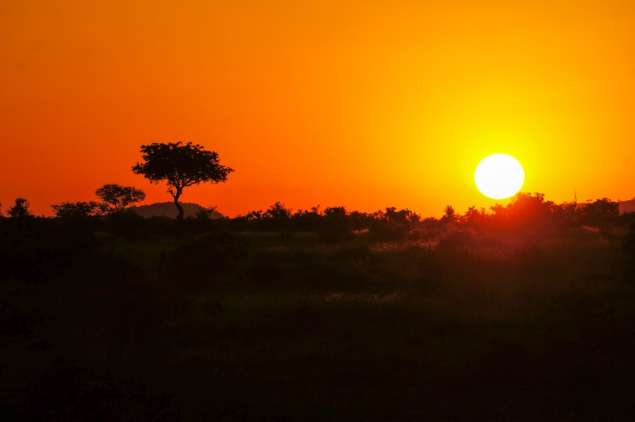 Sunset in Kruger 