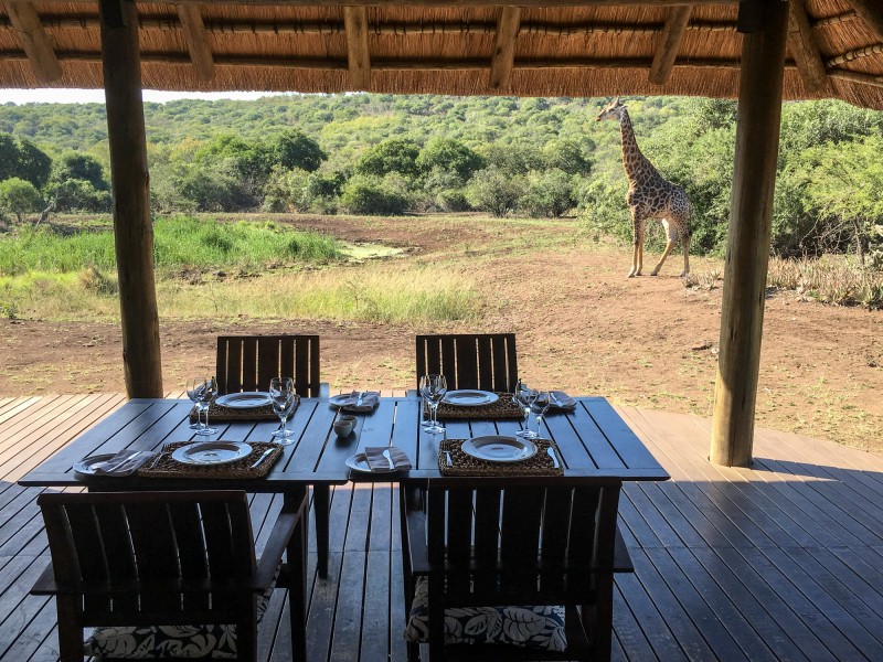 Lunch at Phinda 