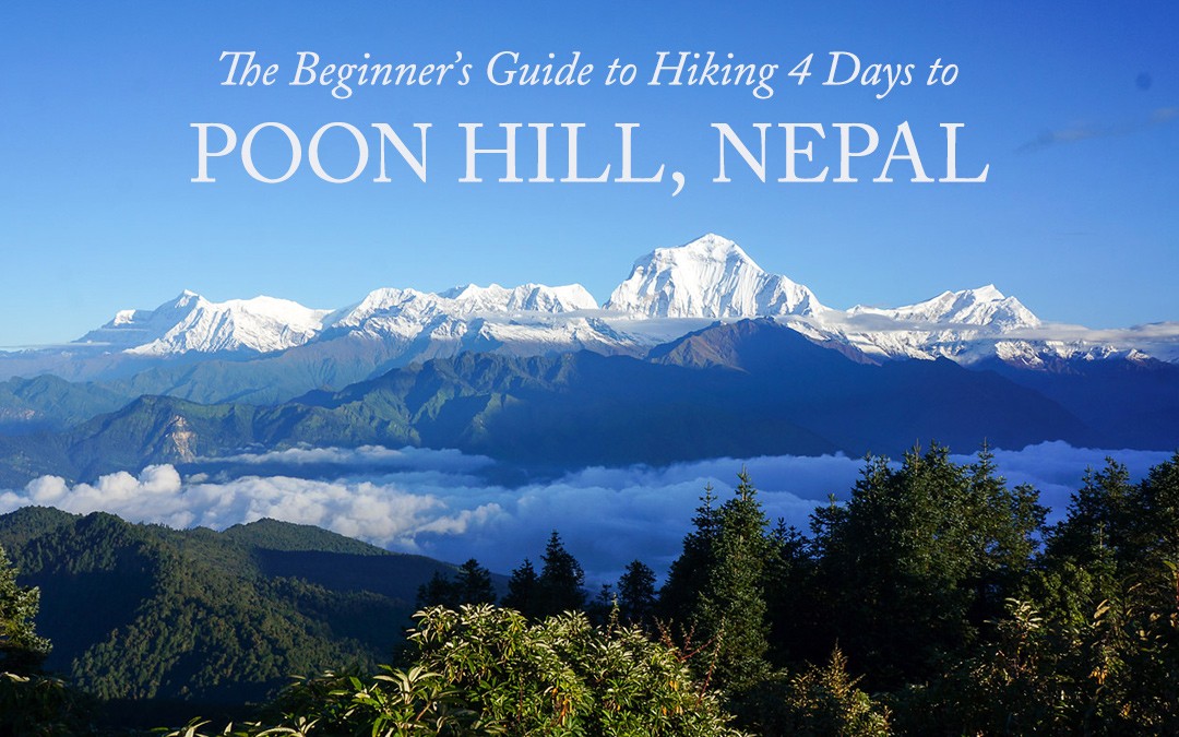The Beginner’s Guide to Hiking Poon Hill, Nepal (4 Day Trek)