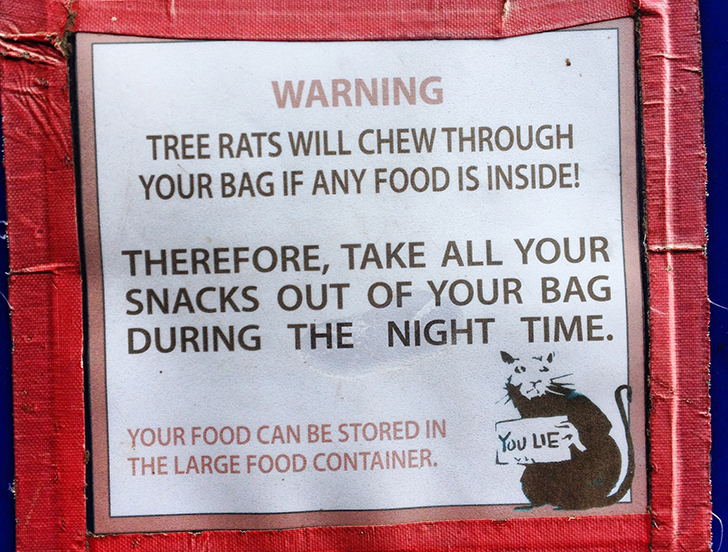 Rat Warning 