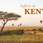 Kenyan Safaris