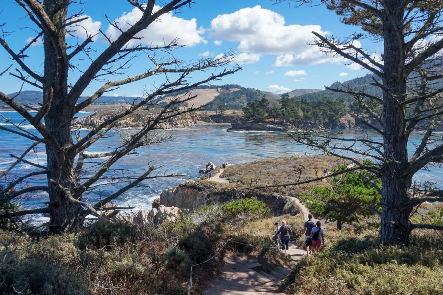 Point Lobos National Park