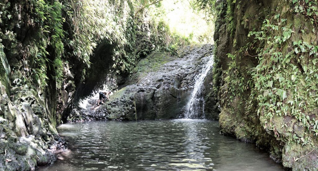 Maunawili Falls Trail