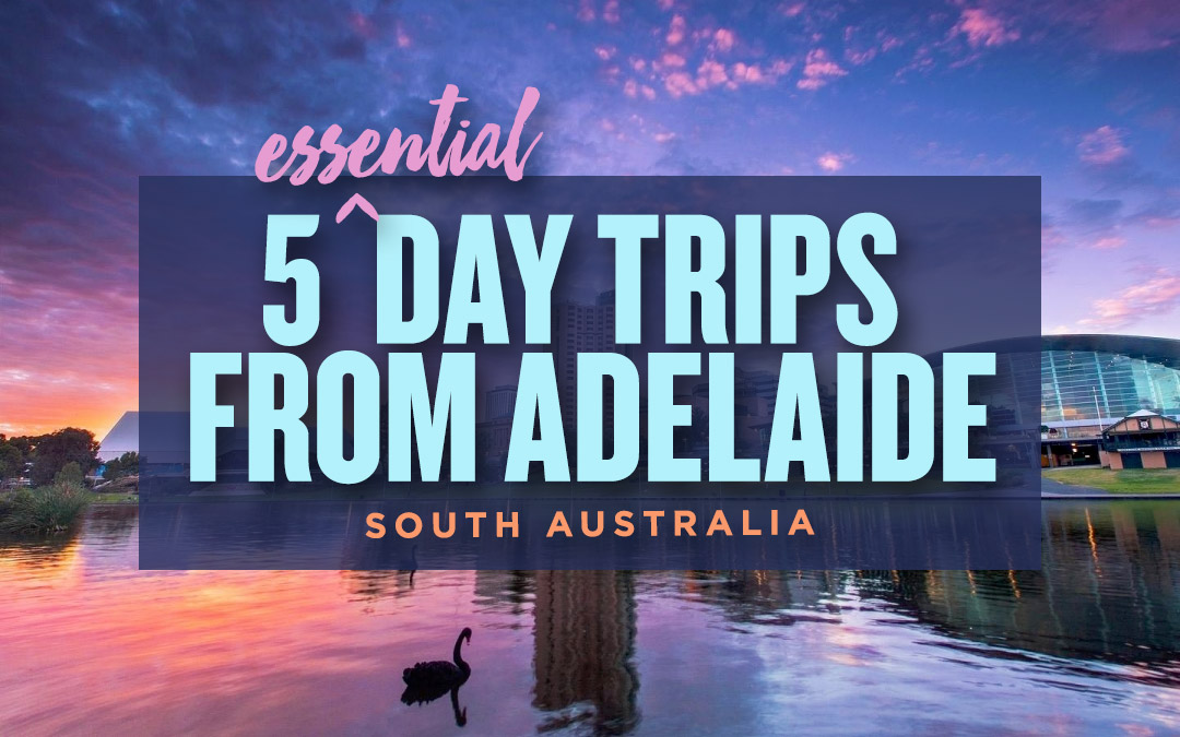 5 Essential Day Trips from Adelaide, South Australia
