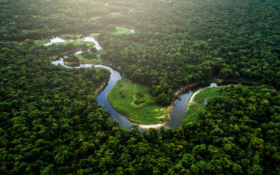 A Guide to Visiting the Amazon Rainforest